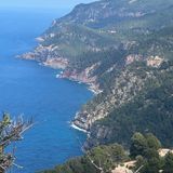 Traveler photo 1