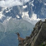 Traveler photo 1